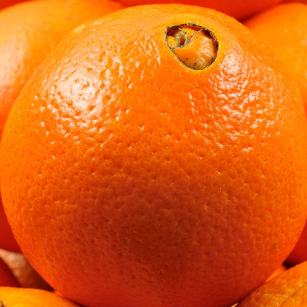 Navel Orange Навель-апельсин