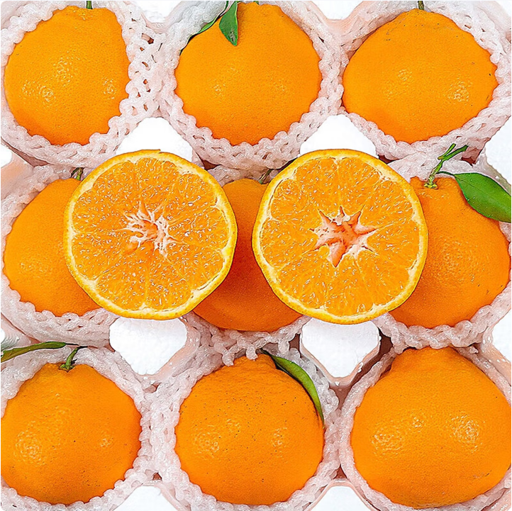 Chunjian (papa mandarin) Мандарин Чунцзян（ Мандарин Папа）