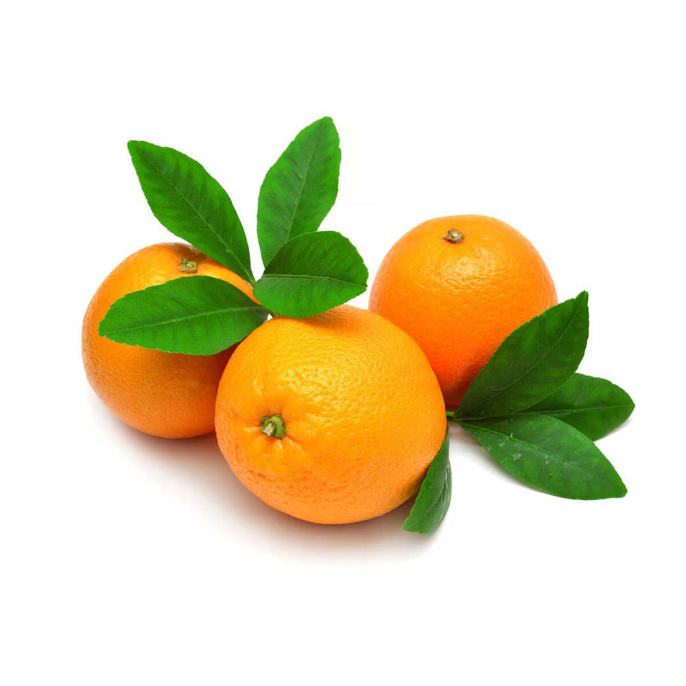 Navel Orange Навель-апельсин
