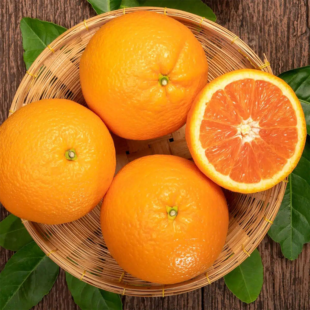 Navel Orange Навель-апельсин