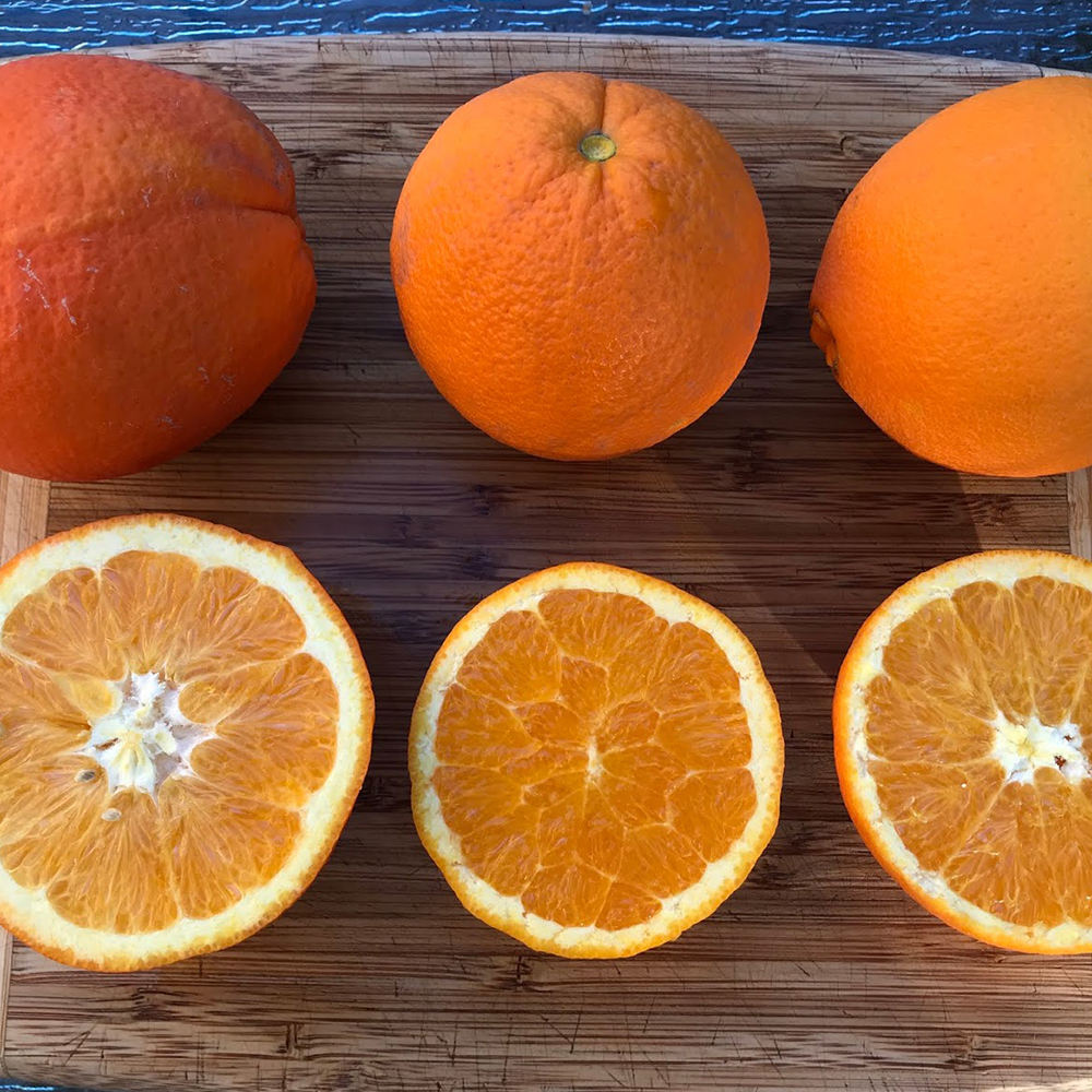 Navel Orange Навель-апельсин