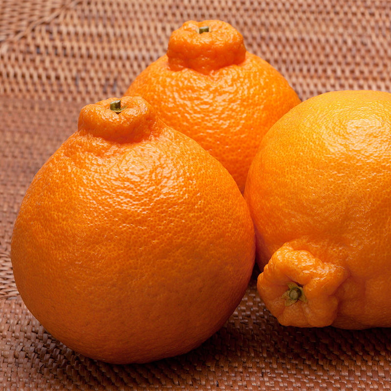 Dekopon Декопон