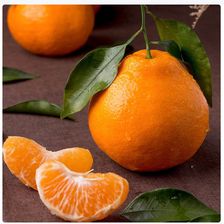 Chunjian (papa mandarin) Мандарин Чунцзян（ Мандарин Папа）