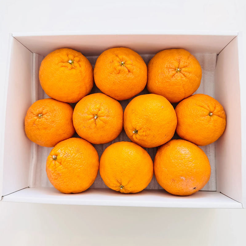 Dekopon Декопон