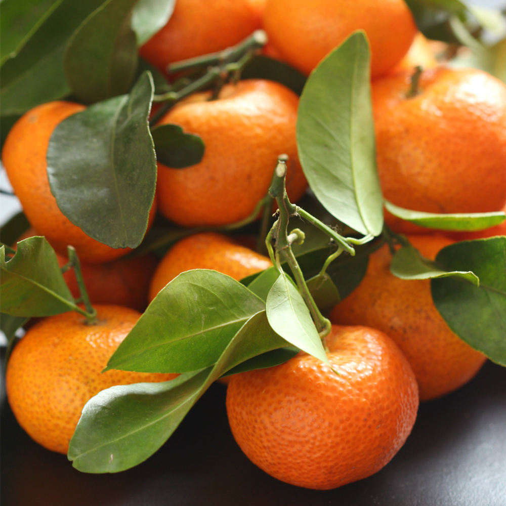 Sugar Tangerine Clementine mandarin Сахарный мандарин