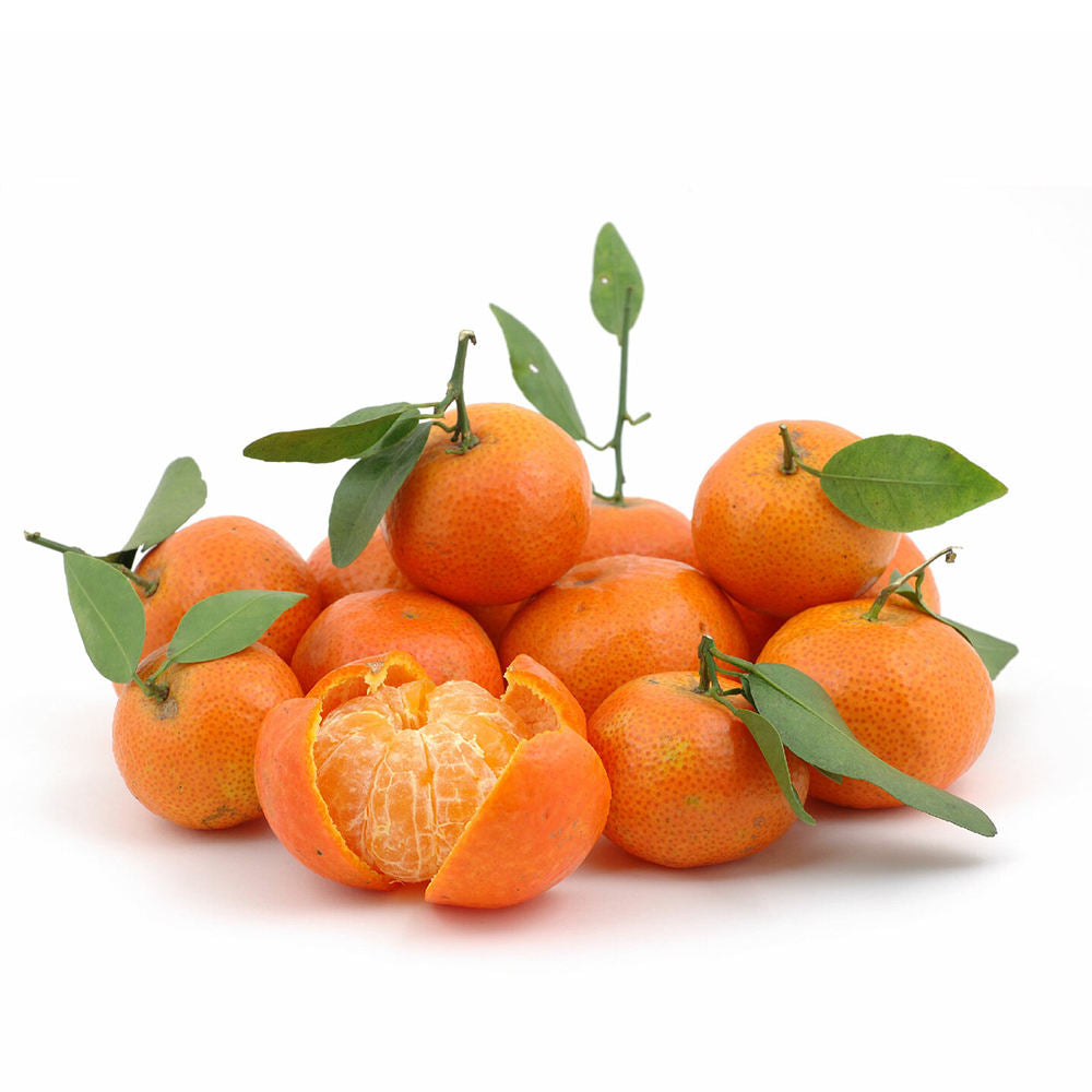 Sugar Tangerine Clementine mandarin Сахарный мандарин