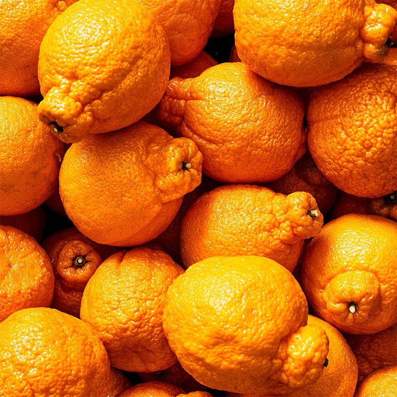 Dekopon Декопон