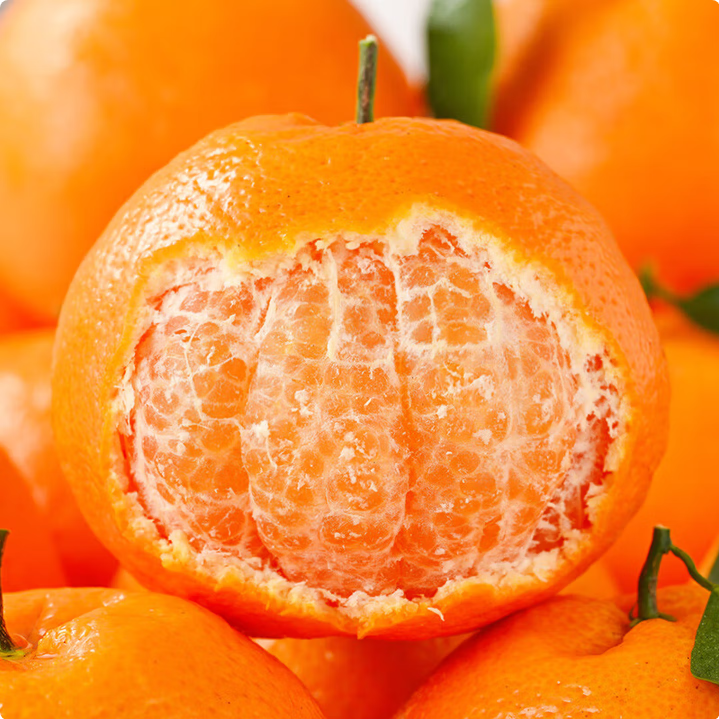 Chunjian (papa mandarin) Мандарин Чунцзян（ Мандарин Папа）